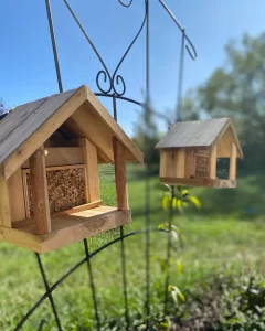 Your 2025 Guide to Winterizing Leafcutter Bee Cocoons