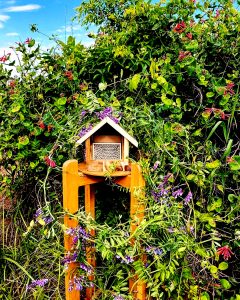 Finding the Perfect Location for Your Pollinator House from Kind Bee Farms