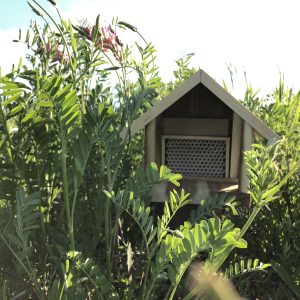 Make a Home for Your Leafcutter Bees with Our Pollinator Kit: Bee House & Nesting Tubes