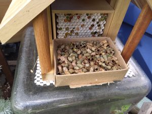 Why the Kind Bee Farms Pollinator House is the Ultimate Leafcutter Retreat