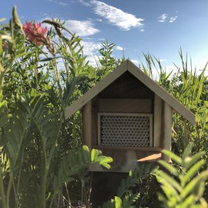 Mounting Your Bee House: What You Can Use & What to Avoid