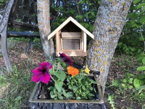 How Many Leafcutter Bee Houses Can I Have on My Property?